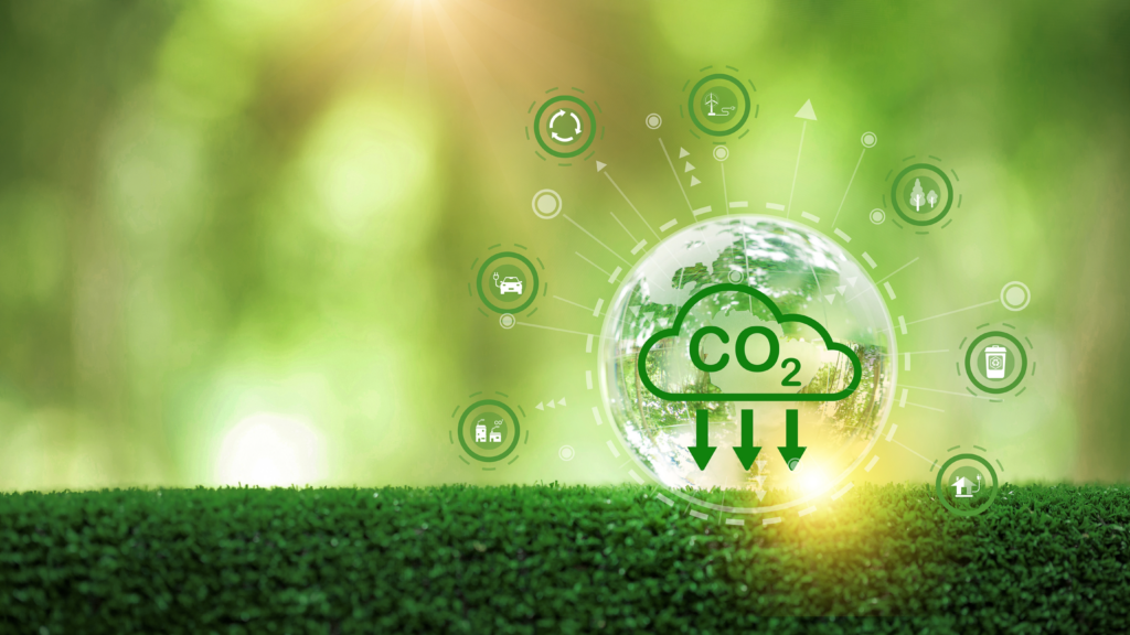 Carbon Footprint